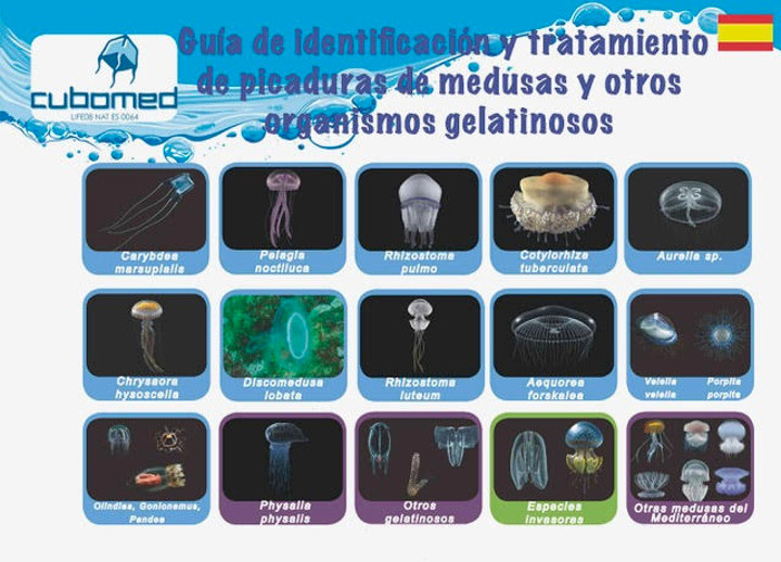 Guía de identificación y tratamiento de picaduras